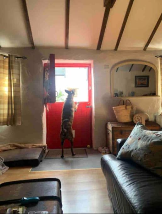 קאסלוולאן Stone Wall Cottage מראה חיצוני תמונה