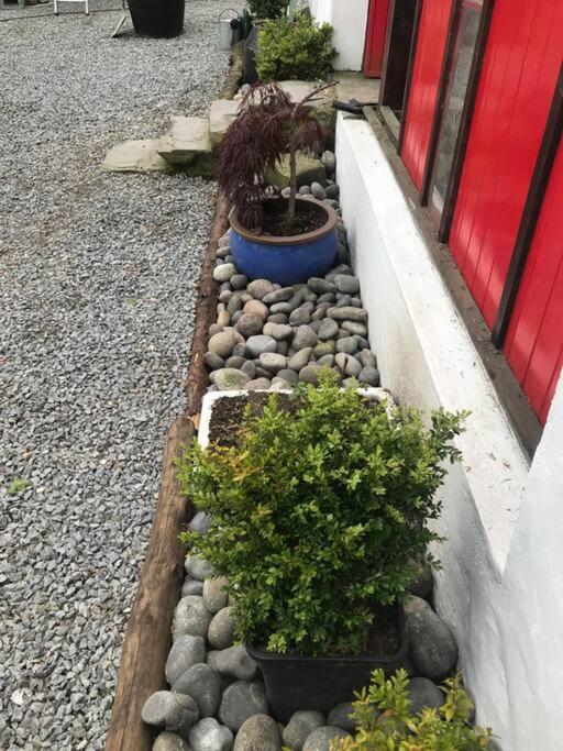 קאסלוולאן Stone Wall Cottage מראה חיצוני תמונה